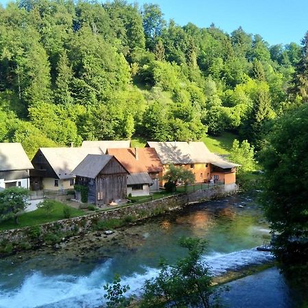 House By The River Zgornje Gorje Exterior foto