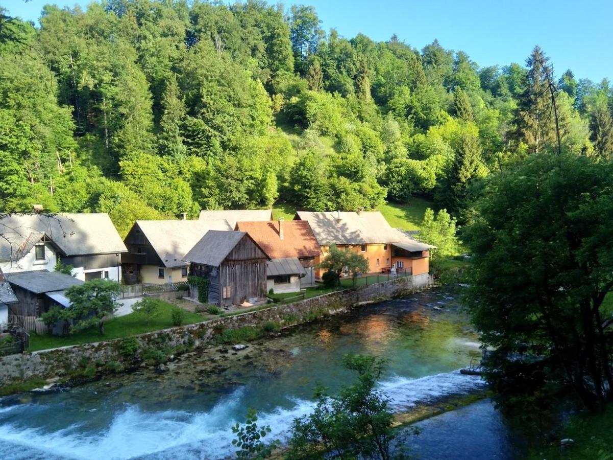 House By The River Zgornje Gorje Exterior foto